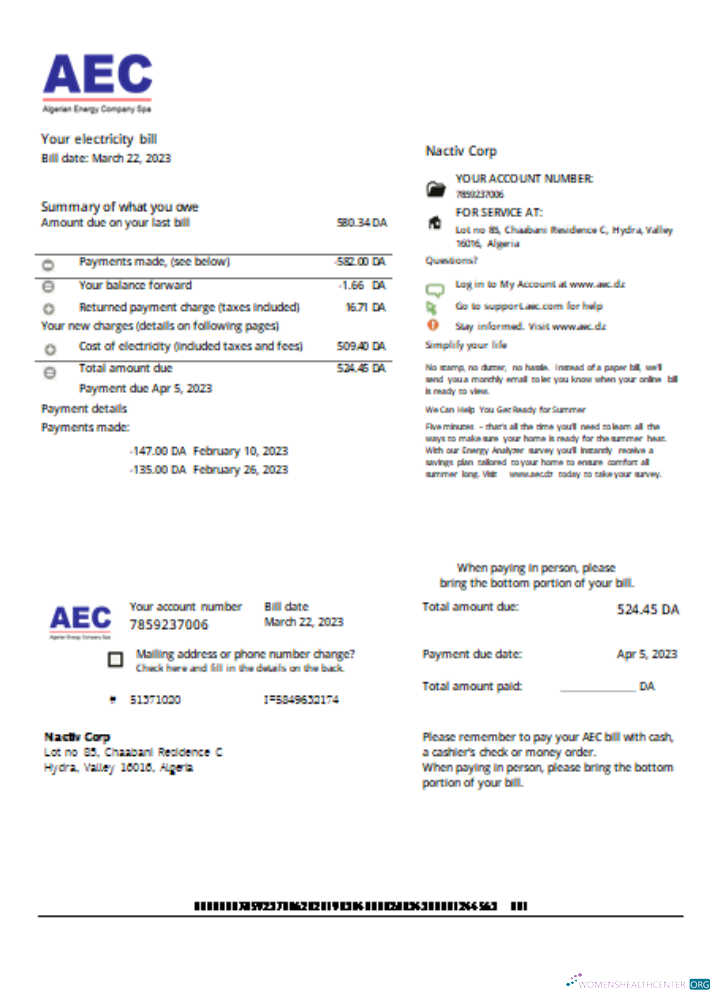 Download AEC Algerian Energy Company utility business bill, SCR Photoshop template